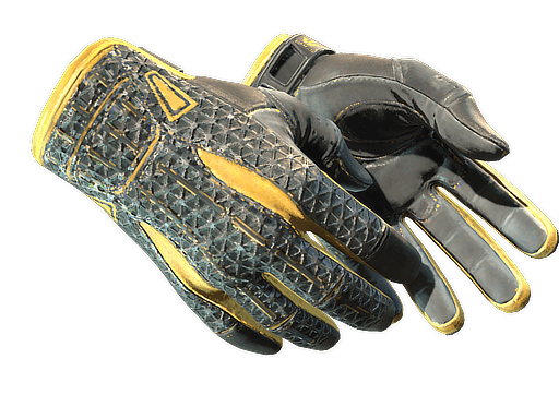 Sport Gloves
